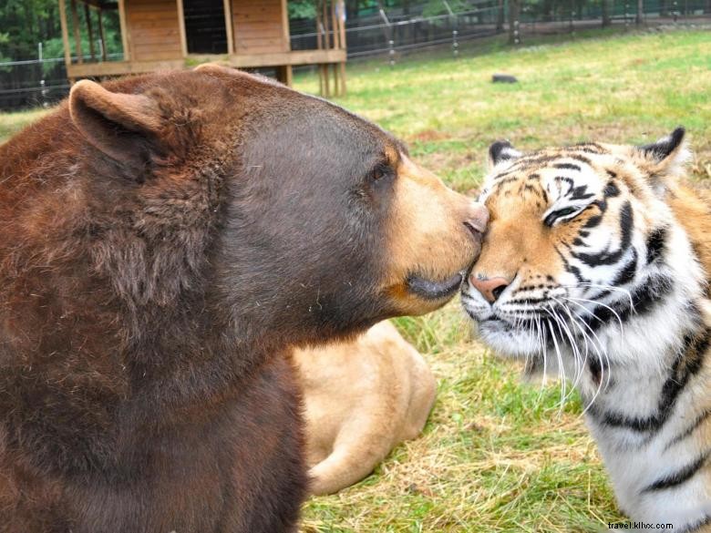 Explore Henry County: Your Gateway to Southern Atlanta Adventures