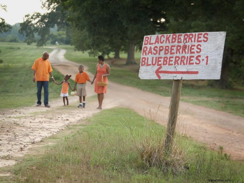 Explore Henry County: Your Gateway to Southern Atlanta Adventures