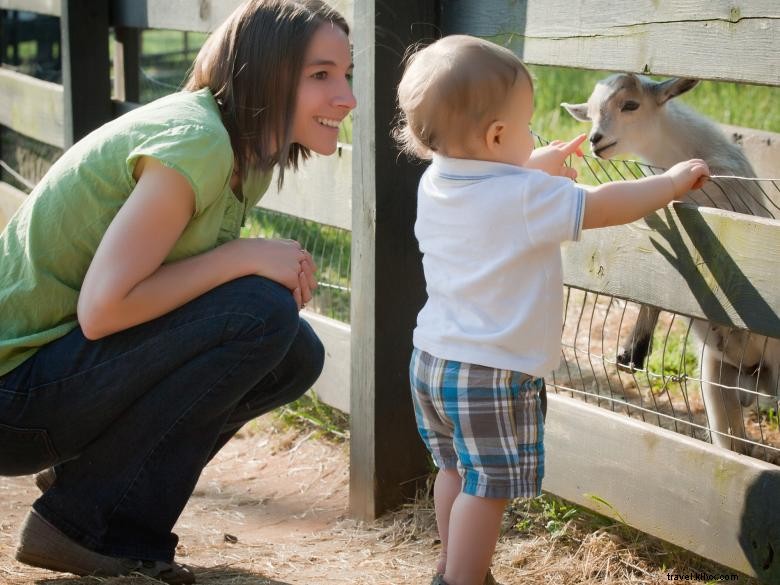 Explore Henry County: Your Gateway to Southern Atlanta Adventures