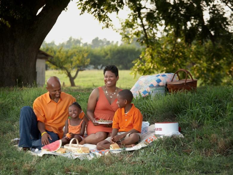 Explore Henry County: Your Gateway to Southern Atlanta Adventures