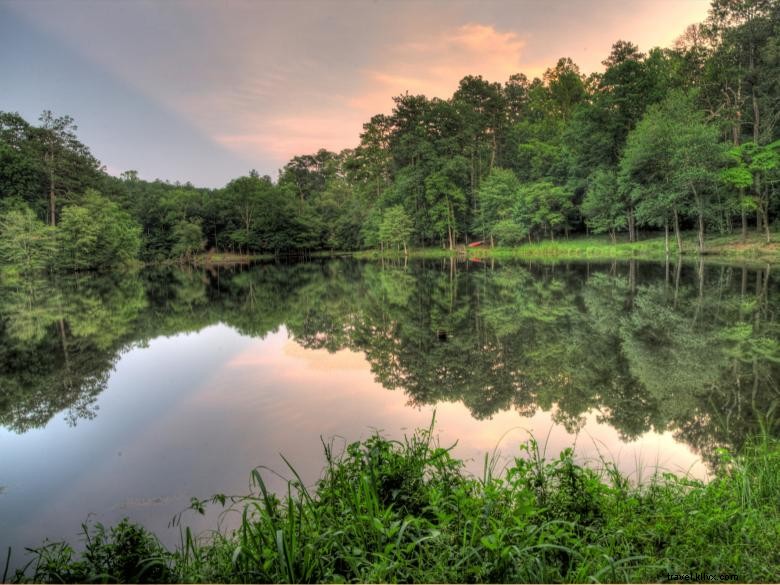 Explore Henry County: Your Gateway to Southern Atlanta Adventures