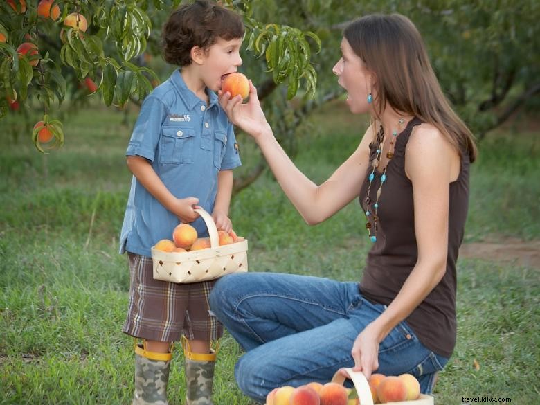 Explore Henry County: Your Gateway to Southern Atlanta Adventures