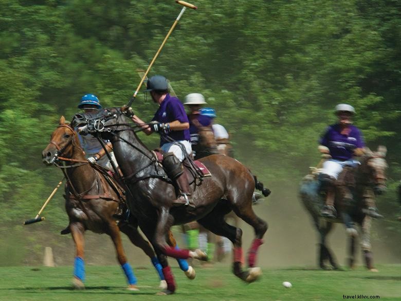 Destination Cherokee: Where Metro Meets the Mountains