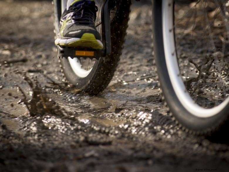 Destination Cherokee: Where Metro Meets the Mountains