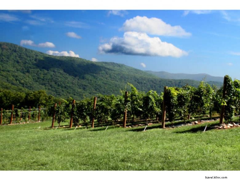 Discover Pickens County – The Gateway to North Georgia’s Mountain Heritage