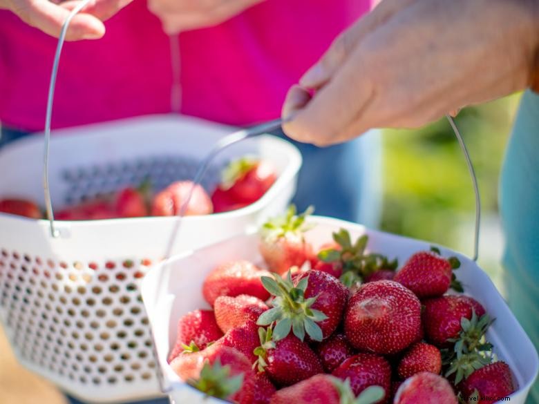 Forsyth-Monroe County Welcome Center – Your Gateway to the Historic Heartland