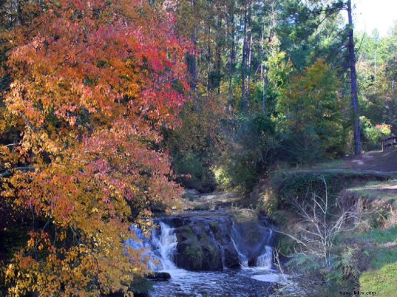 Savannah Rapids Visitor Center – Your Gateway to Columbia County’s Outdoor Adventures