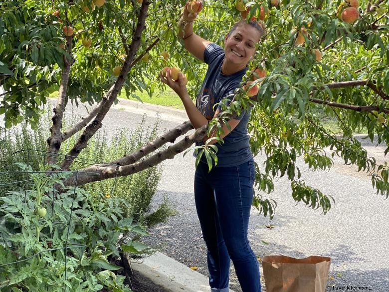 Dublin, GA Visitor Information Center – Your Gateway to Family Fun & Pet-Friendly Adventures