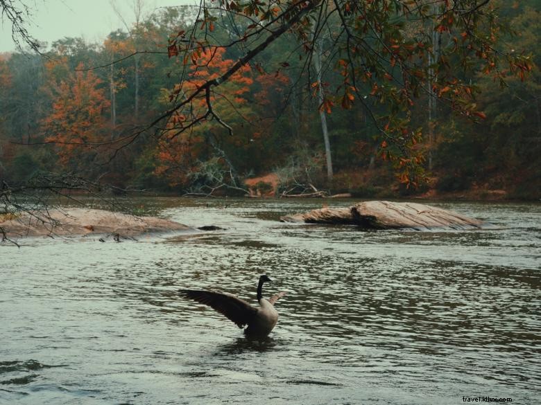 Island Ford – The Heart of the Chattahoochee River National Recreation Area