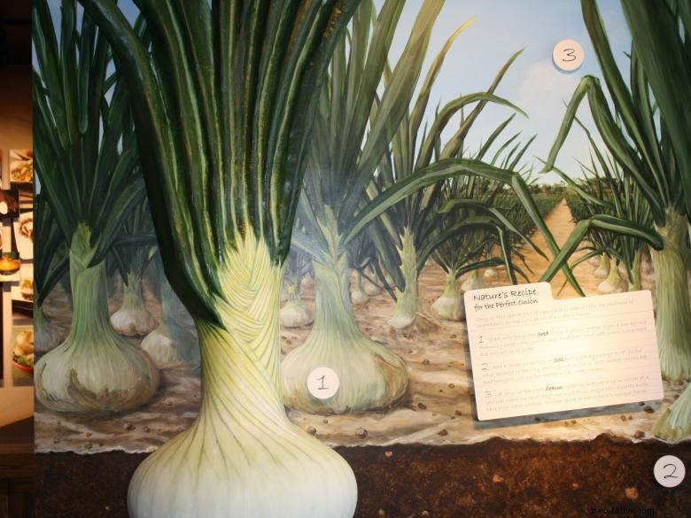 Explore the Vidalia Onion Museum – History, Culture, and Kid-Friendly Fun