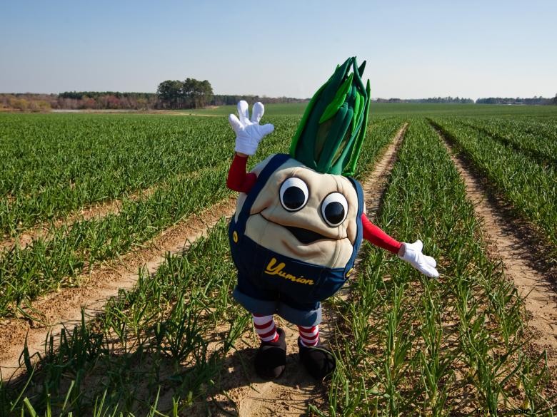 Explore the Vidalia Onion Museum – History, Culture, and Kid-Friendly Fun