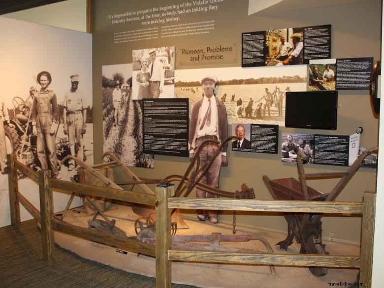 Explore the Vidalia Onion Museum – History, Culture, and Kid-Friendly Fun