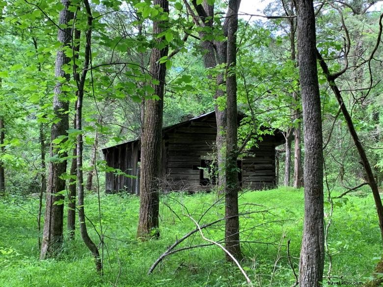 Explore Douglas County: Top Attractions & Cultural Highlights