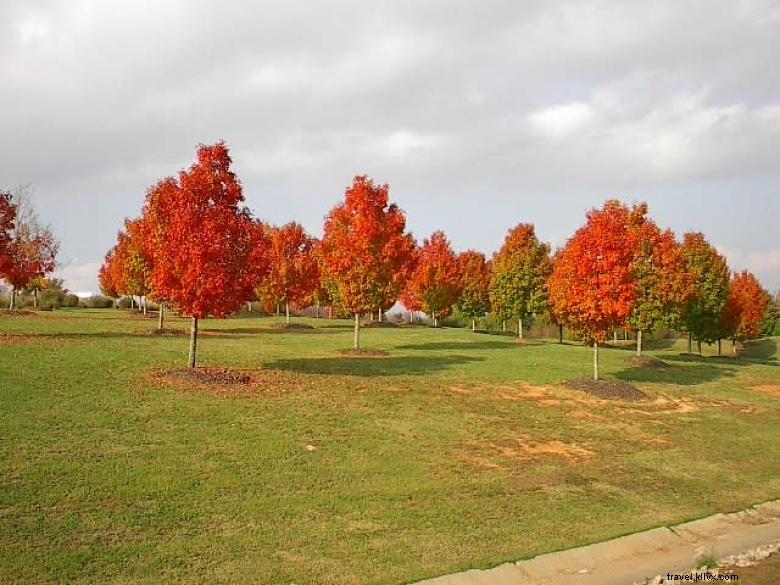 Lavonia Georgia Visitor Information Center – Your Gateway to the Northeast Georgia Mountains