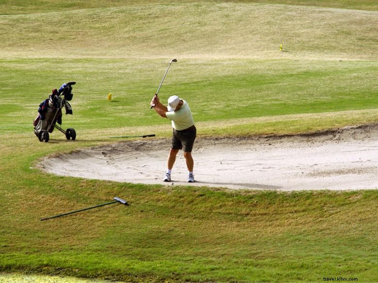 Explore Waycross, GA: Southern Charm, Okefenokee Wildlife & Historic Downtown