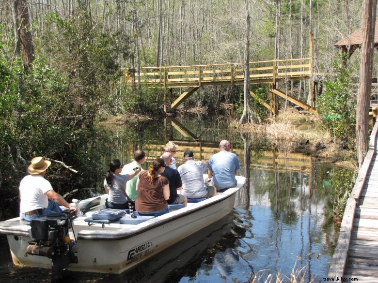 Explore Waycross, GA: Southern Charm, Okefenokee Wildlife & Historic Downtown