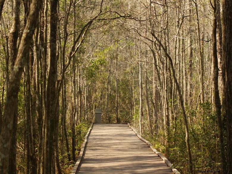 Explore Waycross, GA: Southern Charm, Okefenokee Wildlife & Historic Downtown