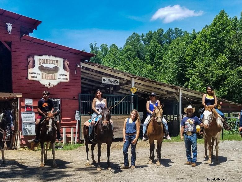 Forrest Hills Resort: Luxury Cabins & Scenic Adventures