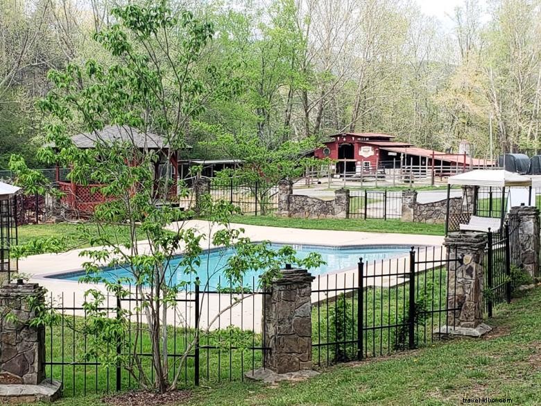 Forrest Hills Resort: Luxury Cabins & Scenic Adventures