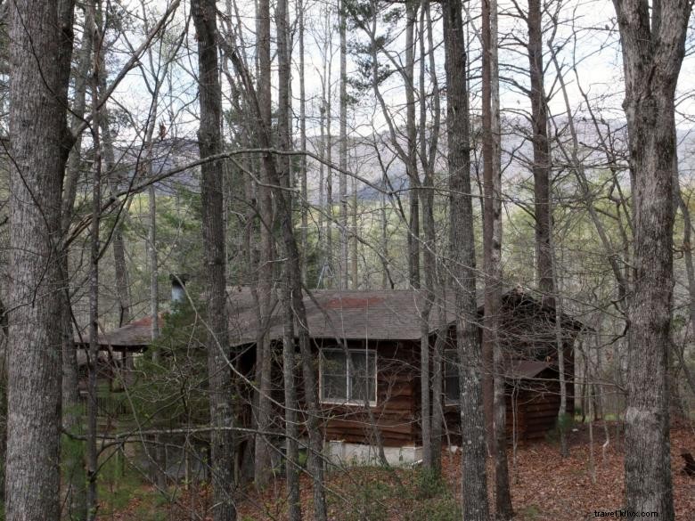 Forrest Hills Resort: Luxury Cabins & Scenic Adventures