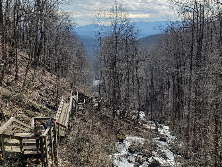 Forrest Hills Resort: Luxury Cabins & Scenic Adventures