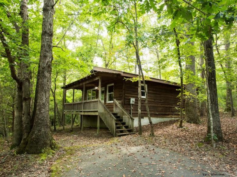 Forrest Hills Resort: Luxury Cabins & Scenic Adventures