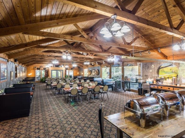 Forrest Hills Resort: Luxury Cabins & Scenic Adventures