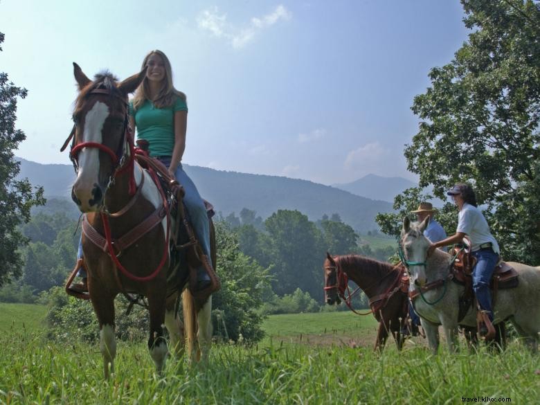 Brasstown Valley Resort & Spa: Luxury Retreat in the Appalachian Mountains