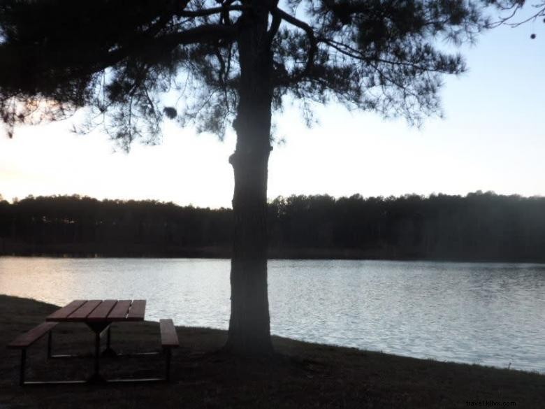 Explore Charlie Elliott Wildlife Center – Nature, Adventure & Conservation