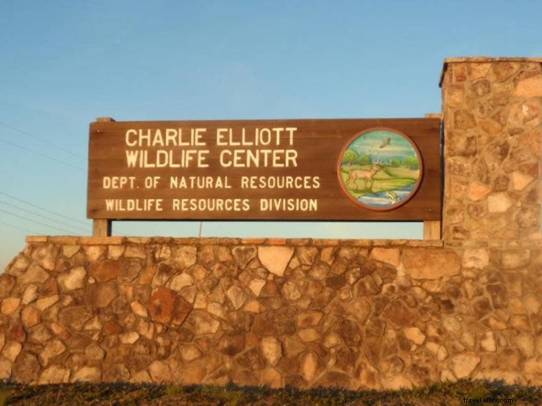 Explore Charlie Elliott Wildlife Center – Nature, Adventure & Conservation