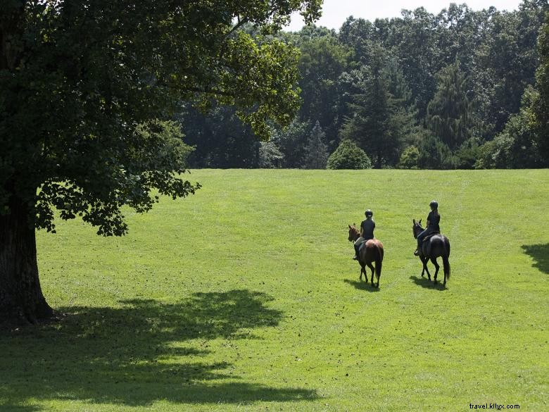 Barnsley Resort – Luxury Villas & World‑Class Golfing Retreat