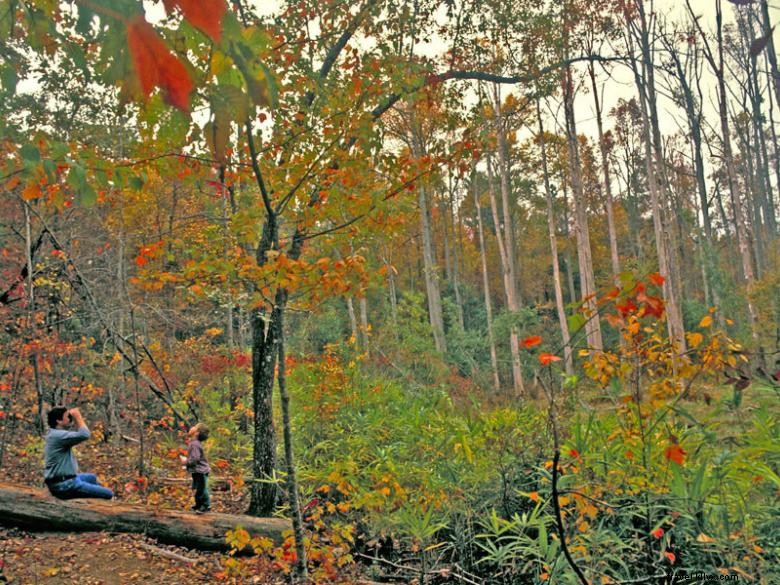 Explore F.D. Roosevelt State Park: Scenic Hiking, Birdwatching & Lakeside Cottages