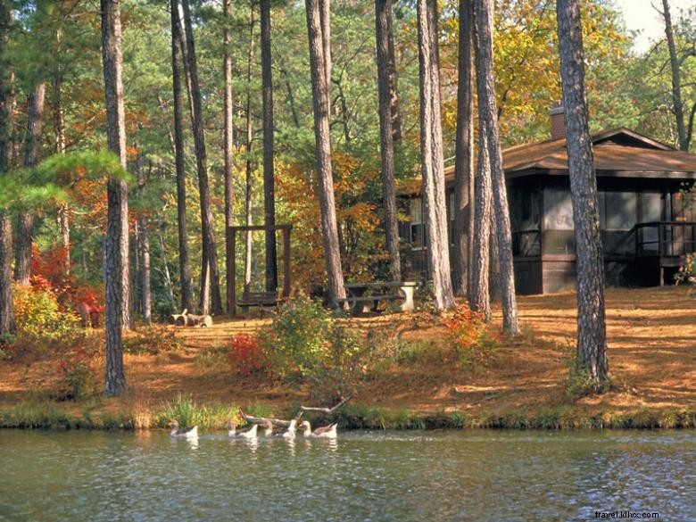 Explore F.D. Roosevelt State Park: Scenic Hiking, Birdwatching & Lakeside Cottages