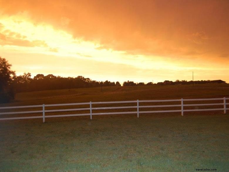 The Welcome Farm: Premium Guesthouse Rental in Atlanta