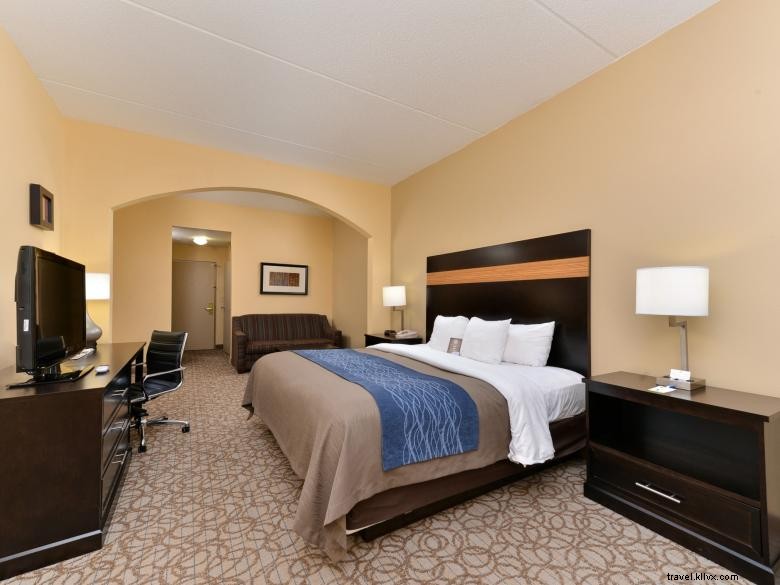 Comfort Inn & Suites – Relaxing Comfort & Convenient Stay in Stone Mountain