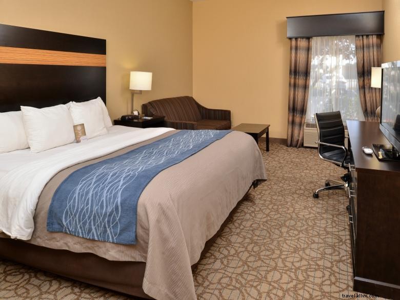 Comfort Inn & Suites – Relaxing Comfort & Convenient Stay in Stone Mountain