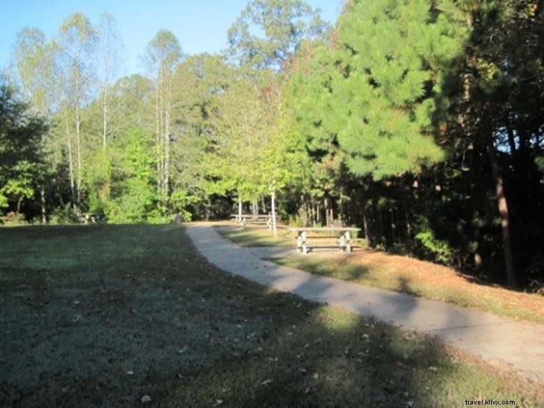 Toto Creek Campground – Your COE Adventure Awaits