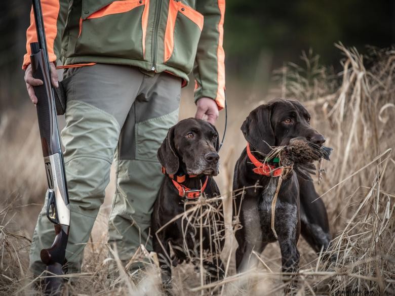 Explore Noontootla Creek Farms – Fly Fishing, Hunting & More