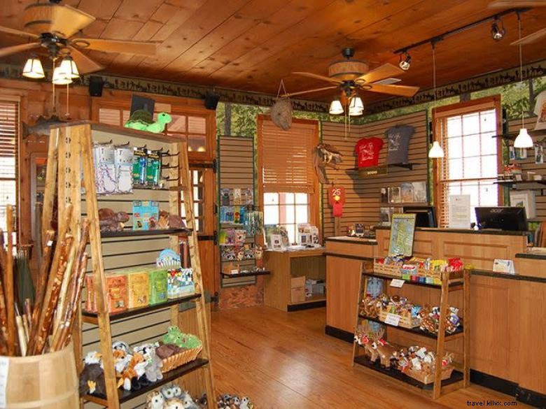 Explore Red Top Mountain State Park: Hiking, Fishing & Camping