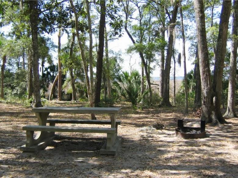 Explore Fort McAllister State Park: History, Hiking, and Scenic Views