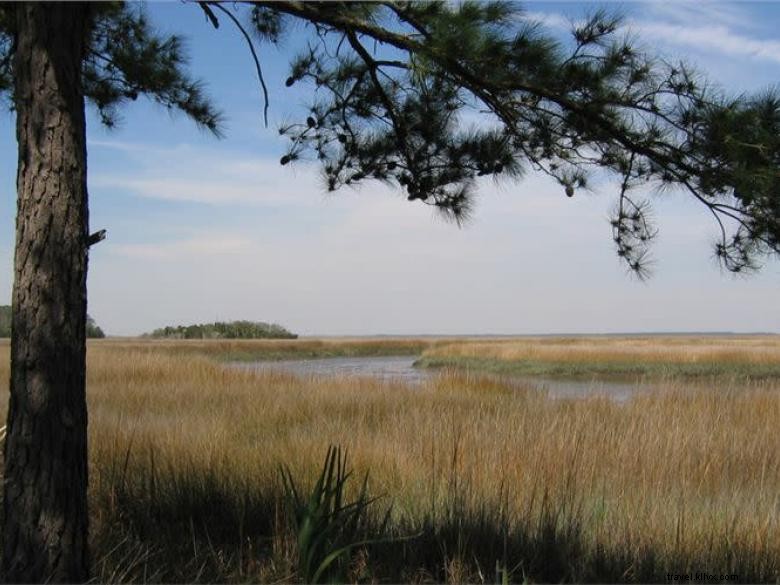 Explore Fort McAllister State Park: History, Hiking, and Scenic Views