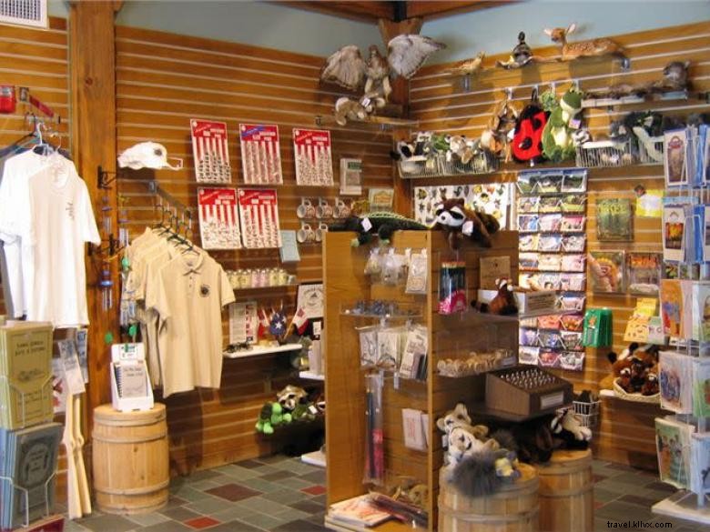 Explore Fort McAllister State Park: History, Hiking, and Scenic Views