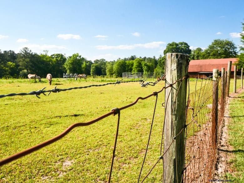 Discover Tranquility at Dublin Farm – A Serene Retreat