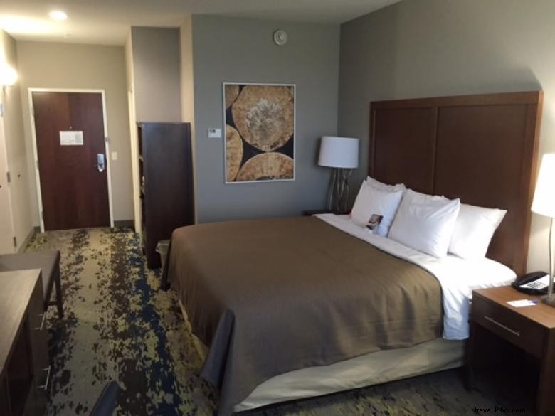 Comfort Inn & Suites Valdosta – Modern Comfort & Convenient Location