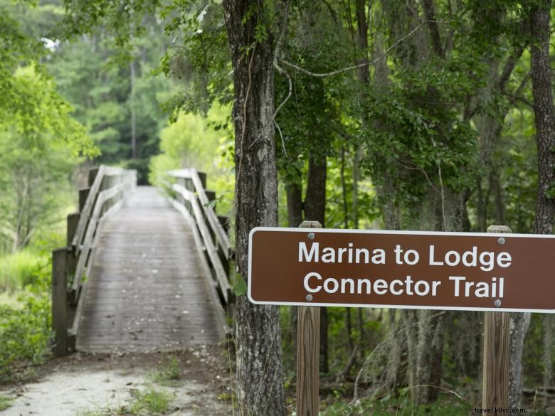 Explore George T. Bagby State Park & Lodge: Scenic Outdoor Adventures & Comfortable Accommodations