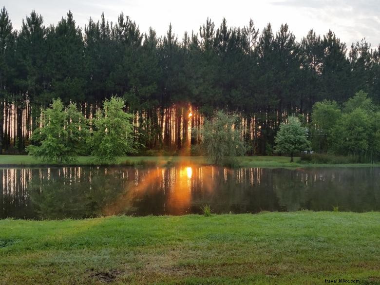 Sunset Pines RV Living – 15 Acres of Tranquil Pine Forest & On‑Site Pond
