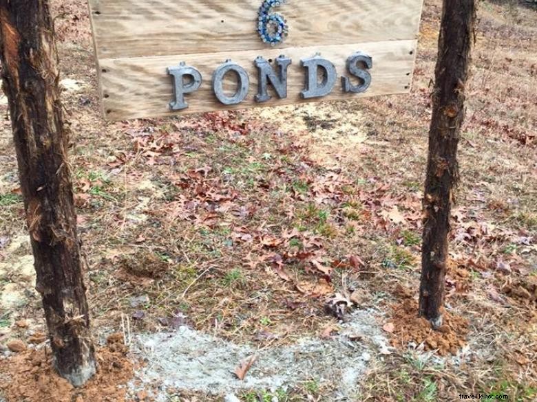 6 Ponds Farm – Charming Family Home with Cozy Back Porch Fireplace