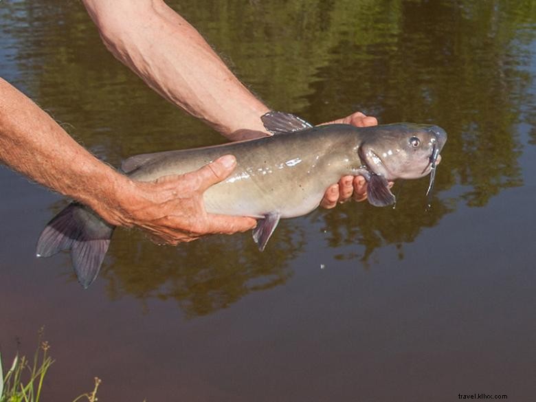 Scenic Mountain RV Park & Campground – Premium Mountain Retreat