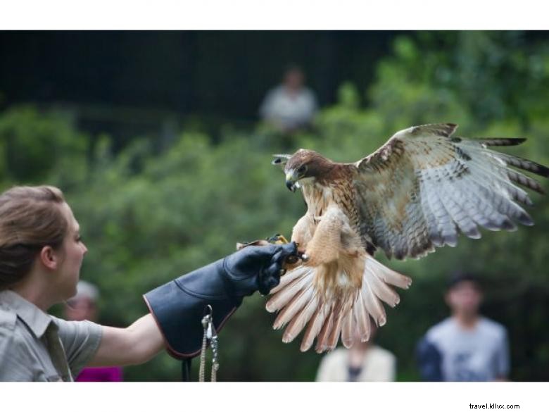 Explore Callaway Resort & Gardens: Luxury Retreat & Natural Beauty