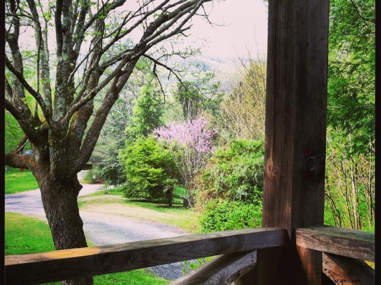 Discover The Parker Ranch: Hawaii’s Iconic Cattle Estate